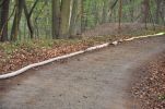 20140406_ffseiterndorf_19.JPG