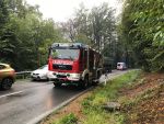20190902_ffmannersdorf_1.jpg