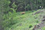 20140531_ffpoeggstall_12.JPG