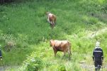 20140531_ffpoeggstall_5.JPG