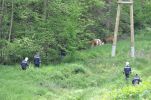 20140531_ffpoeggstall_7.JPG