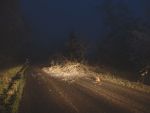 20141130_ffpoeggstall_3.JPG