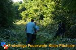 20160813_Rinder08.jpg