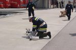20170513_flagold_15.jpg