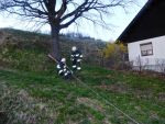 20170325_Fzg009.JPG