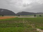 20200621_ffmannersdorf_17.jpg