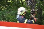20150803_ffweiten_5.JPG