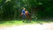 20140611_ffkettenreith_1.JPG