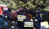 20140611_ffkettenreith_4.jpg