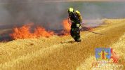 20170706_ffpoechlarn_feldbrand_2.jpg