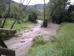 20140730_ffraxendorf_1.jpg
