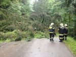20140730_ffraxendorf_6.JPG