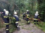 20140730_ffraxendorf_7.JPG