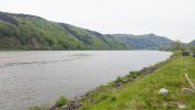 20170421_FFWeins_Donau14.jpg