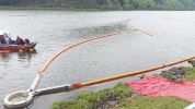 20170421_FFWeins_Donau17.jpg