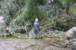 20150614_ffstleonhard_12.JPG