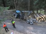20180410_Forst03.jpg