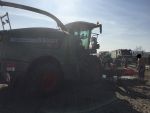 20150410_Brand07.JPG
