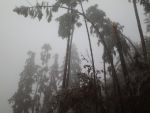 20141130_braunegg_6.jpg