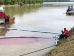 20180511_ffmelk_1.jpg