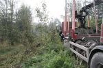 20141008_ffstleonhard_6.JPG