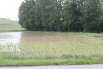 20140528_ffstleonhard_4.JPG