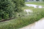 20140528_ffstleonhard_5.JPG