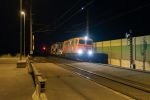 20241019_DSC1124-VERBESSERT-NR.jpg