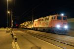 20241019_DSC1126-VERBESSERT-NR.jpg