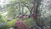 20140718_192812.jpg