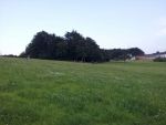 IMG-20140719-WA0006.jpg