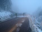 20141203_ffbraunegg_102.JPG