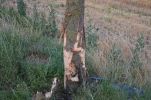 20150708_einsatzdoku_2.jpg