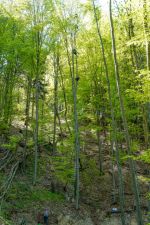Ewald_Fohringer_Photography--4_Klein.jpg