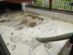 20140423_ffloosdorf_13.JPG