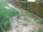 20140423_ffloosdorf_6.JPG