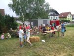 20140801_ffhuerm_11.jpg