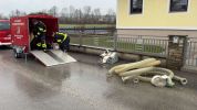 20231222_Unwetter003.jpg