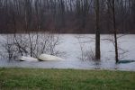 20231222_Unwetter022.jpg