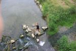 20140727_brunnrup_13.jpg