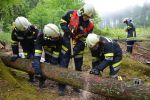 20170513_ffmelk_2.JPG