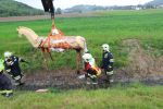 20170513_ffmelk_5.jpeg