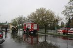 IMG_4275.JPG