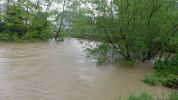 20140516_bfuest_4.JPG