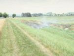 20150706_ffdiesendorf_2.jpg