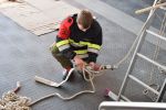 20170401_APLE11.jpg
