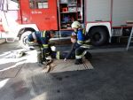 20170401_APLE57.jpg