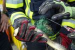 20170722_ffmelk_tierrettung_5.jpg