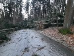 20230311_063504.jpeg