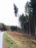 20150331_ffmelk_4.jpg